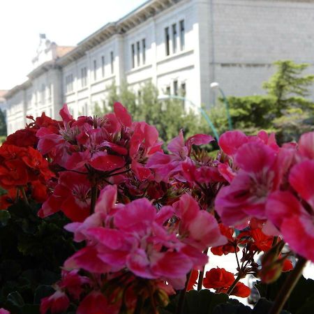 Luciano And Son Bed & Breakfast Campobasso Exterior photo
