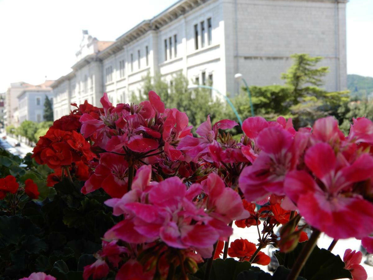 Luciano And Son Bed & Breakfast Campobasso Exterior photo